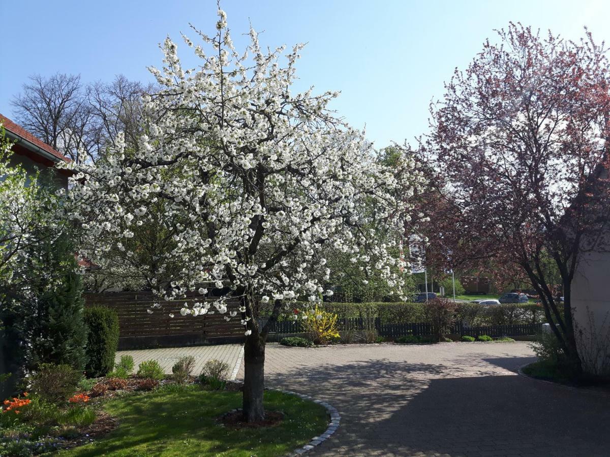 Der Kirschbaumhof * Strullendorf